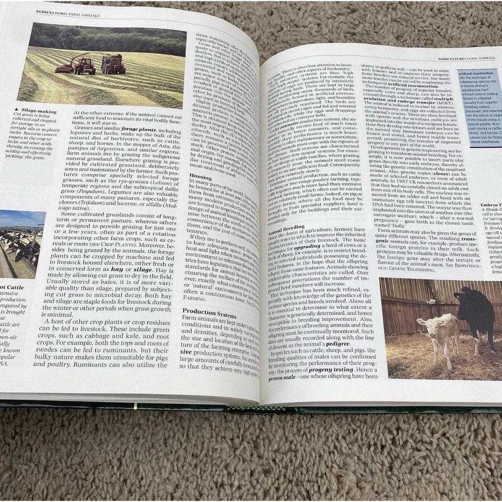 The Learning Companion TLC Book Set Vol 1-6 Southwestern 1999‎ History
